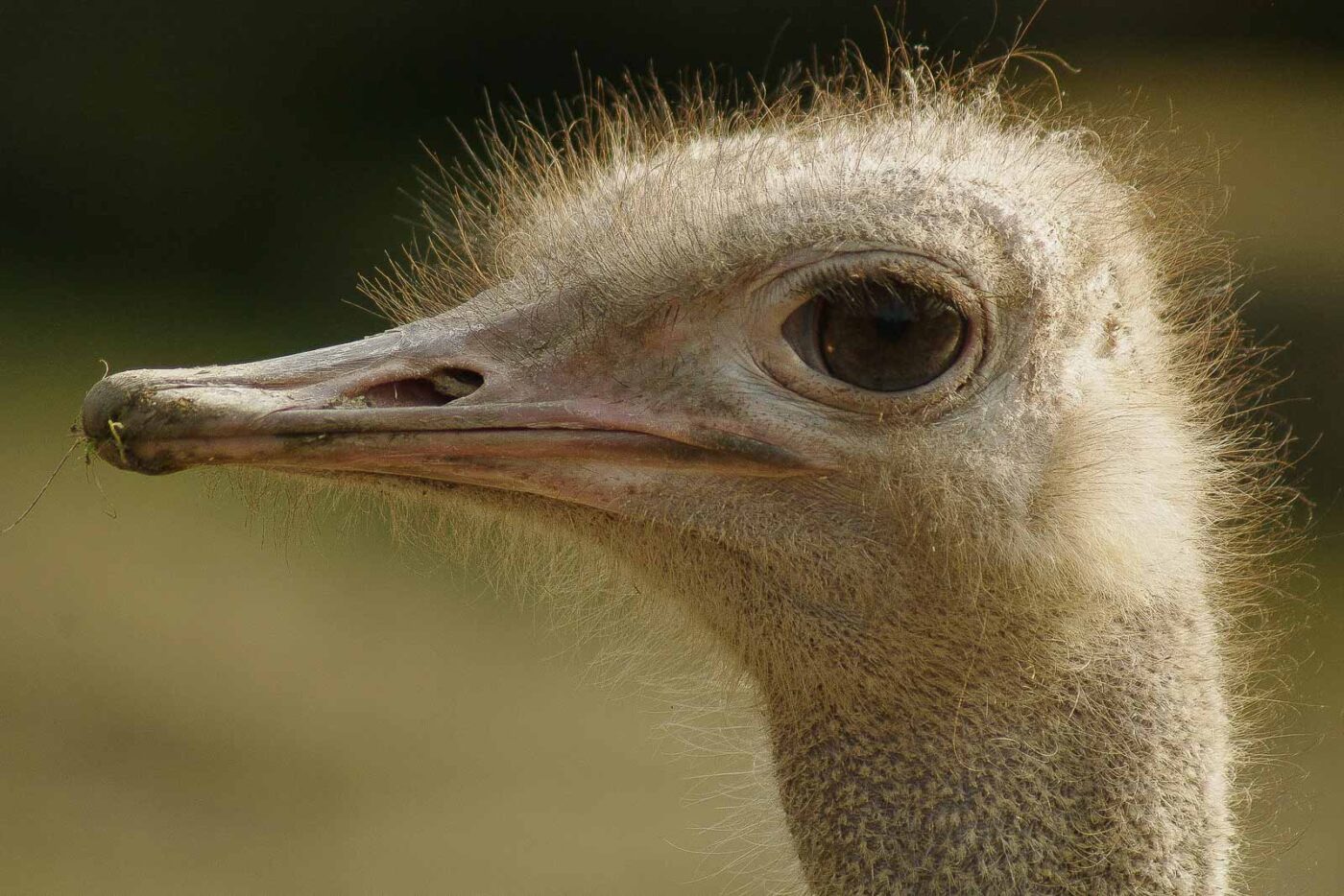 2016-03-10 - Allwetterzoo Münster