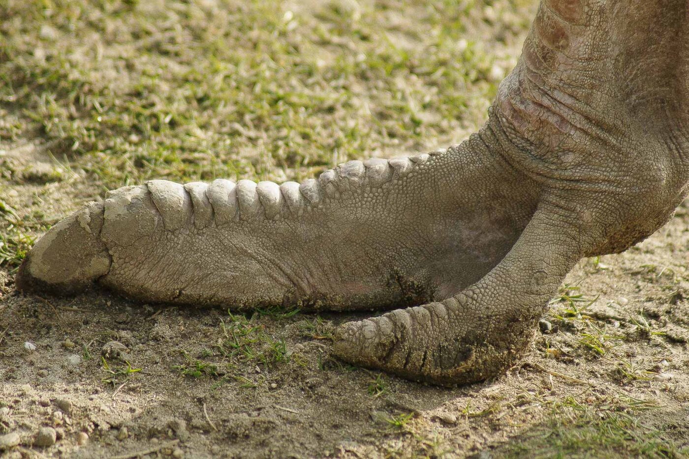 2016-03-10 - Allwetterzoo Münster