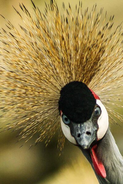 2016-03-10 - Allwetterzoo Münster