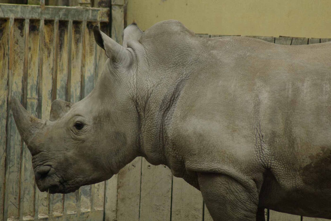 2016-03-10 - Allwetterzoo Münster