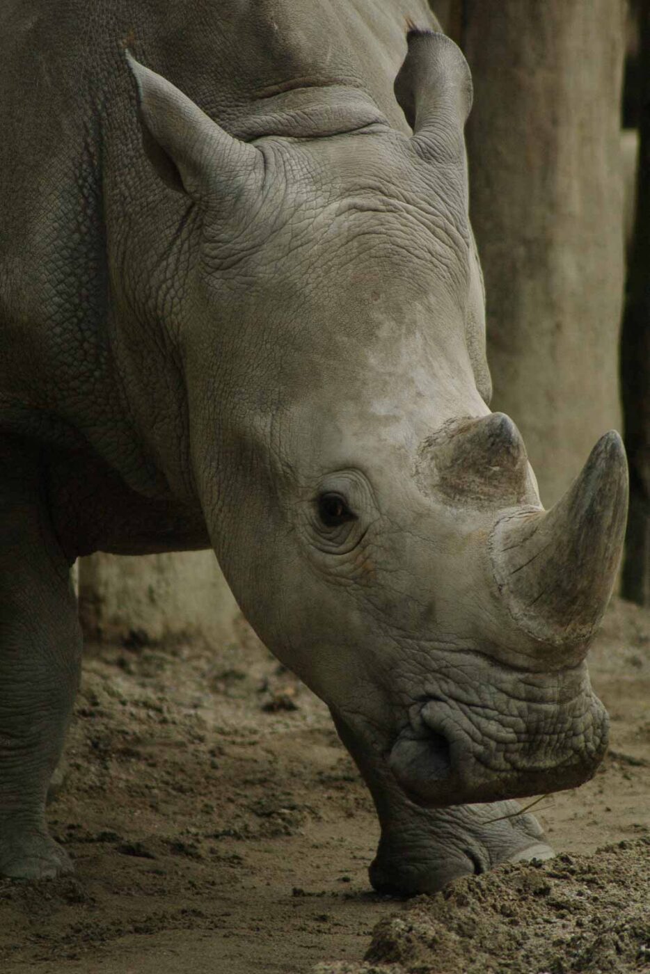 2016-03-10 - Allwetterzoo Münster