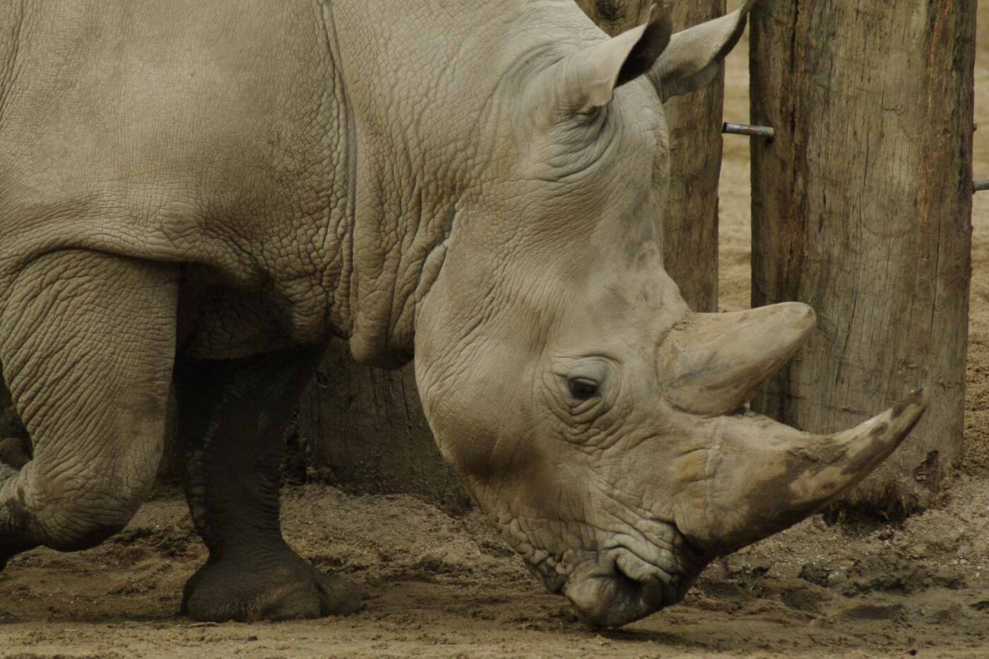 2016-03-10 - Allwetterzoo Münster