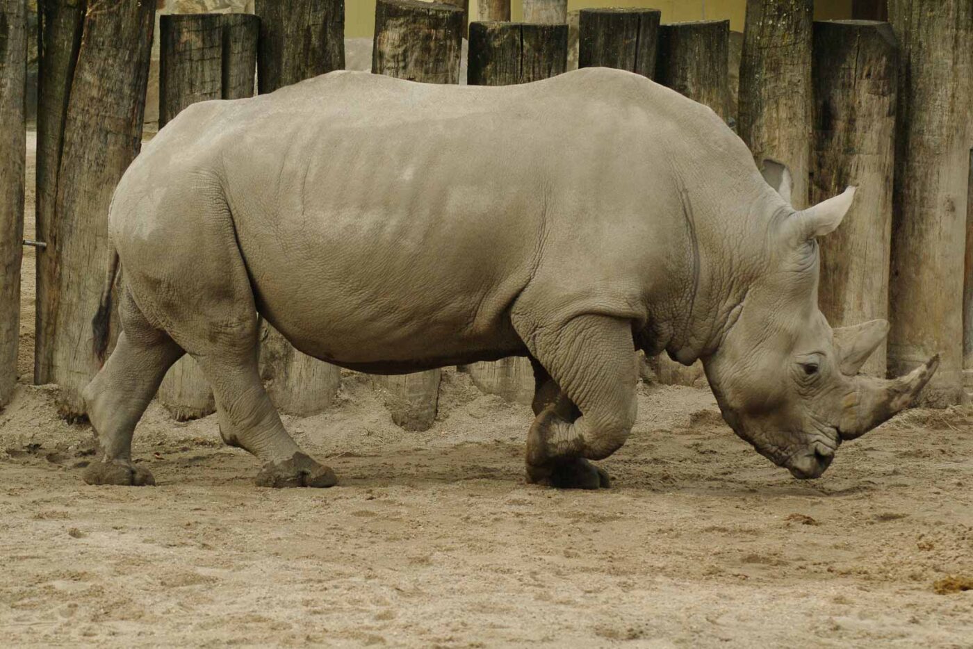 2016-03-10 - Allwetterzoo Münster