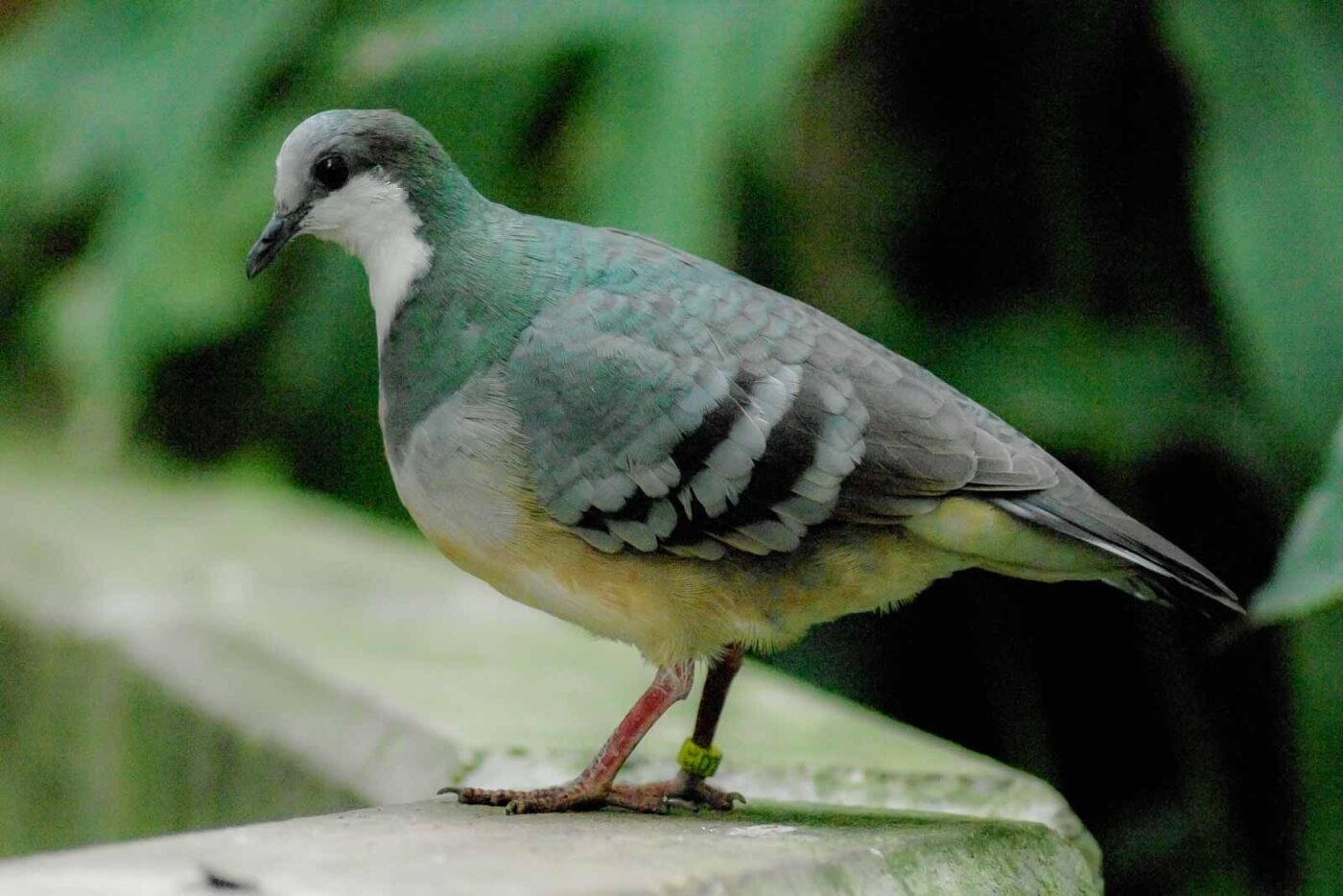 2016-03-10 - Allwetterzoo Münster