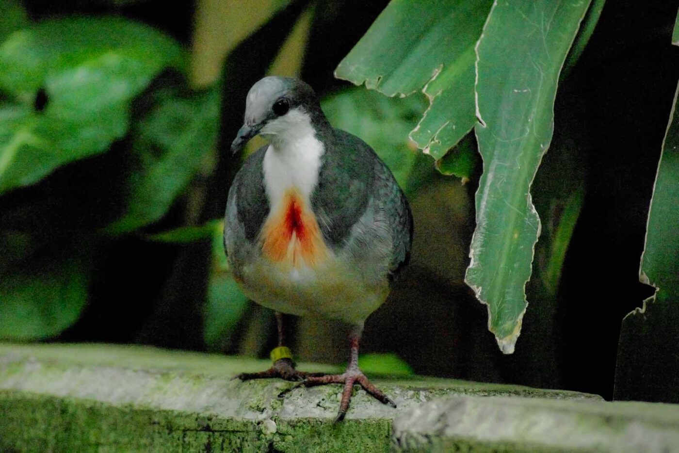 2016-03-10 - Allwetterzoo Münster