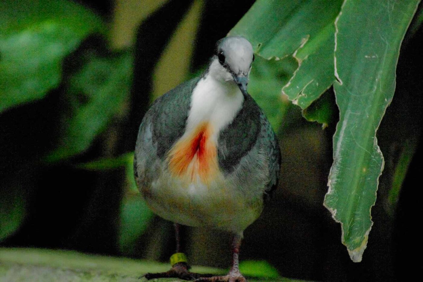 2016-03-10 - Allwetterzoo Münster