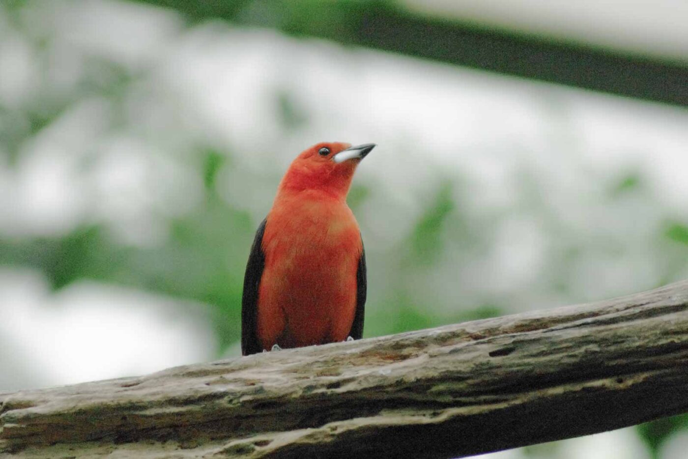 2016-03-10 - Allwetterzoo Münster