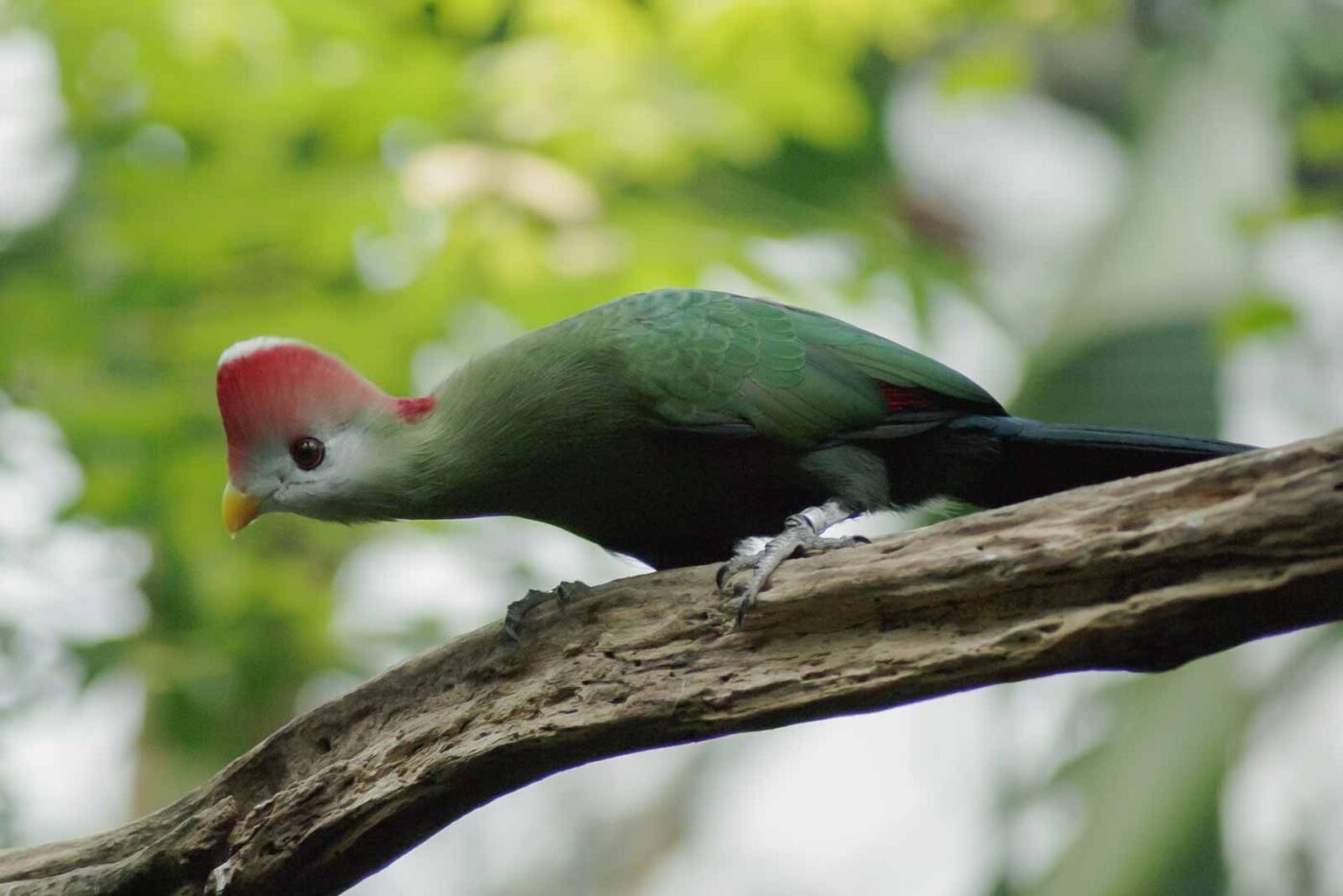 2016-03-10 - Allwetterzoo Münster