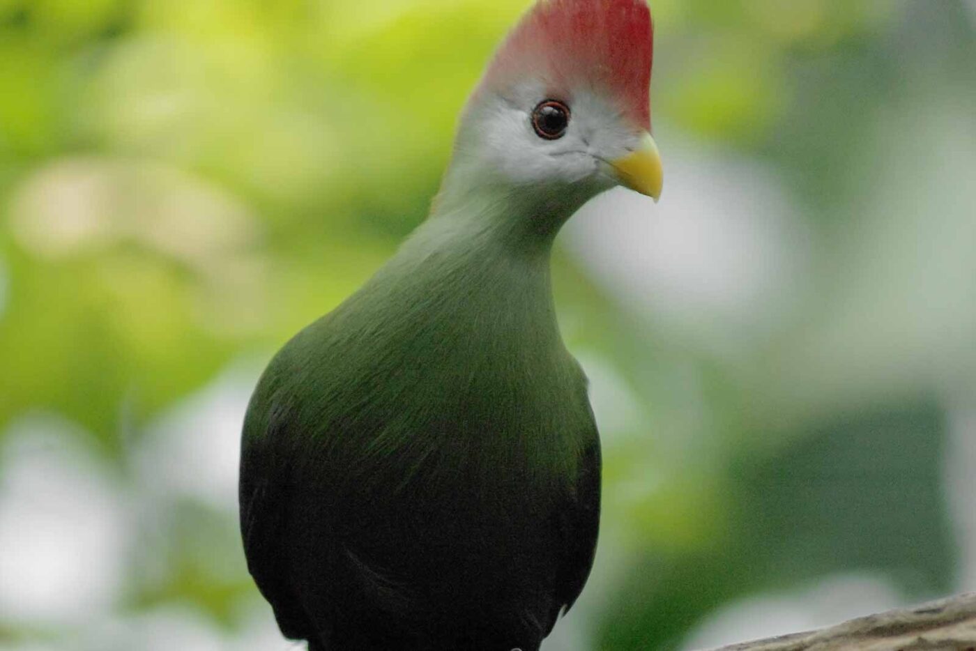 2016-03-10 - Allwetterzoo Münster