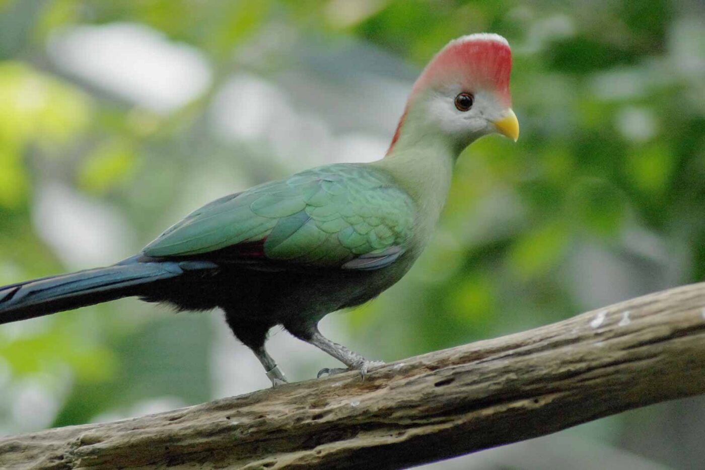 2016-03-10 - Allwetterzoo Münster