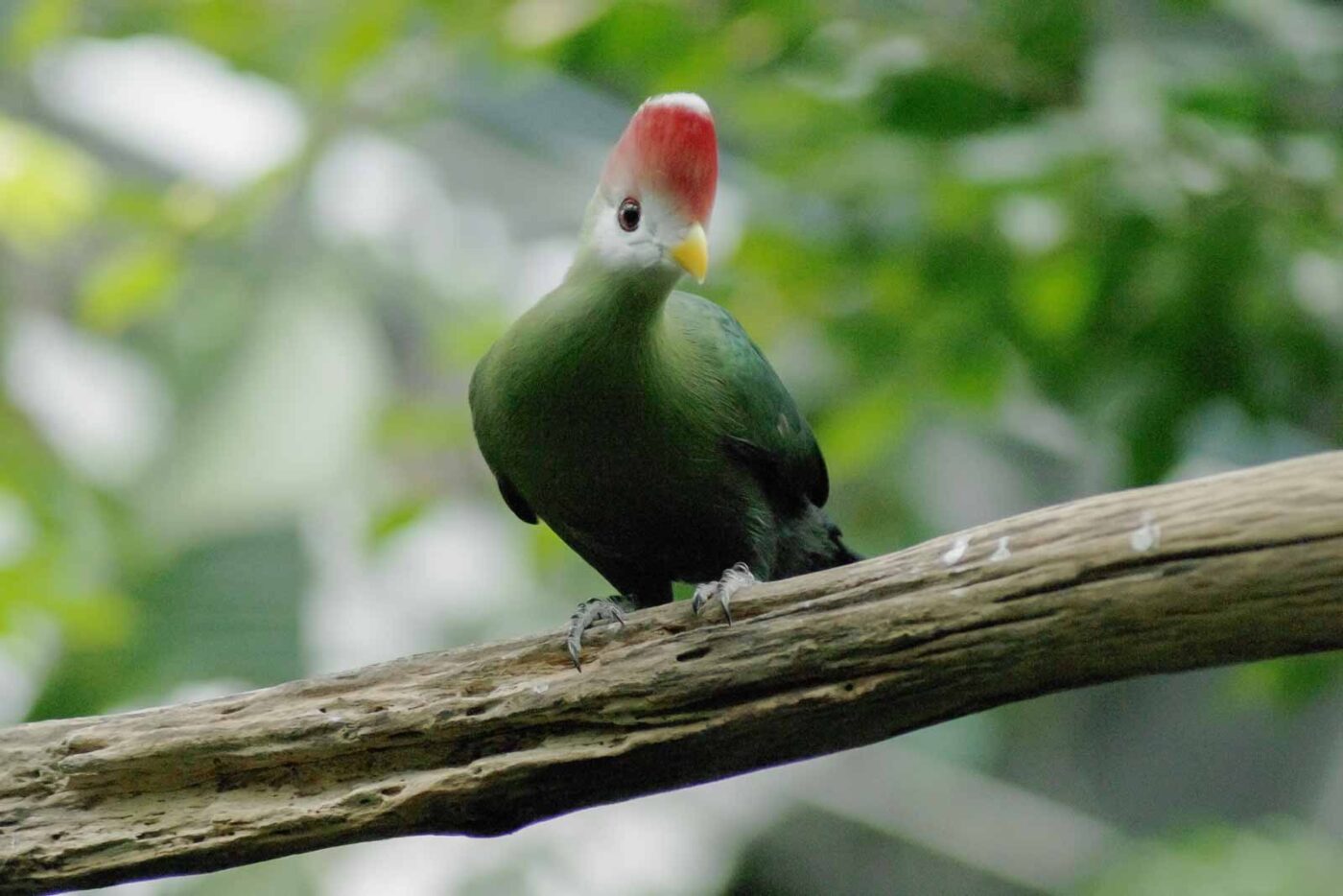 2016-03-10 - Allwetterzoo Münster