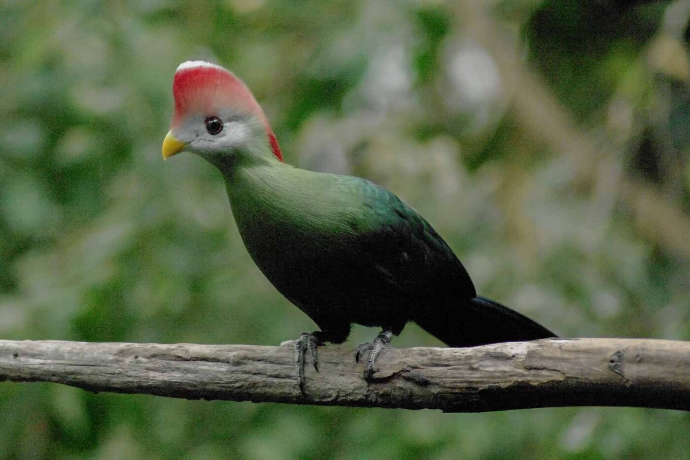2016-03-10 - Allwetterzoo Münster