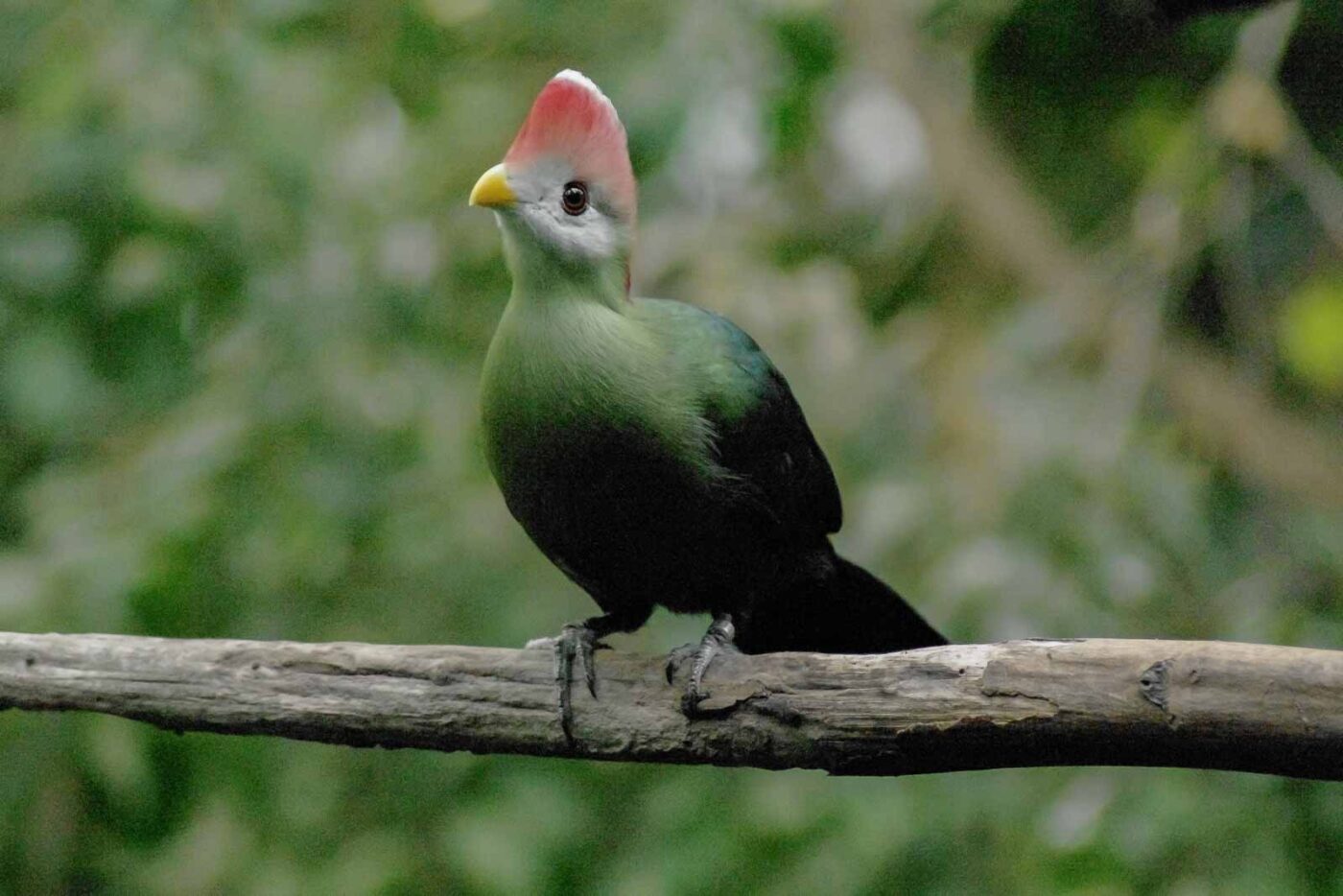 2016-03-10 - Allwetterzoo Münster