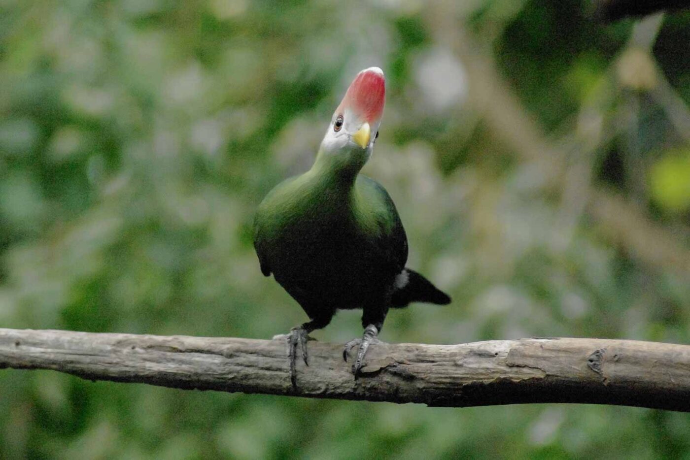 2016-03-10 - Allwetterzoo Münster