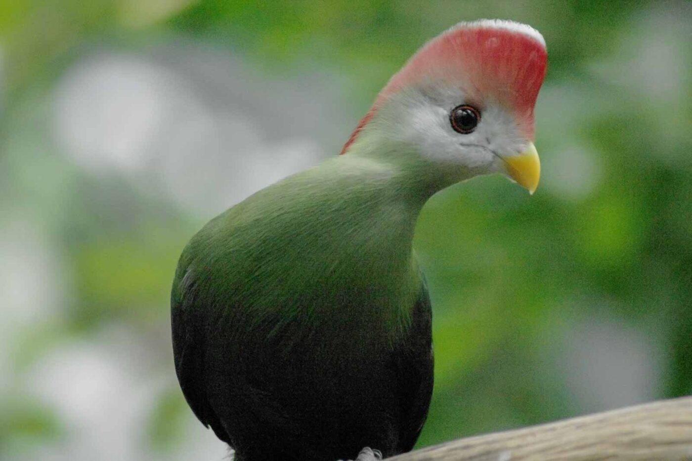 2016-03-10 - Allwetterzoo Münster