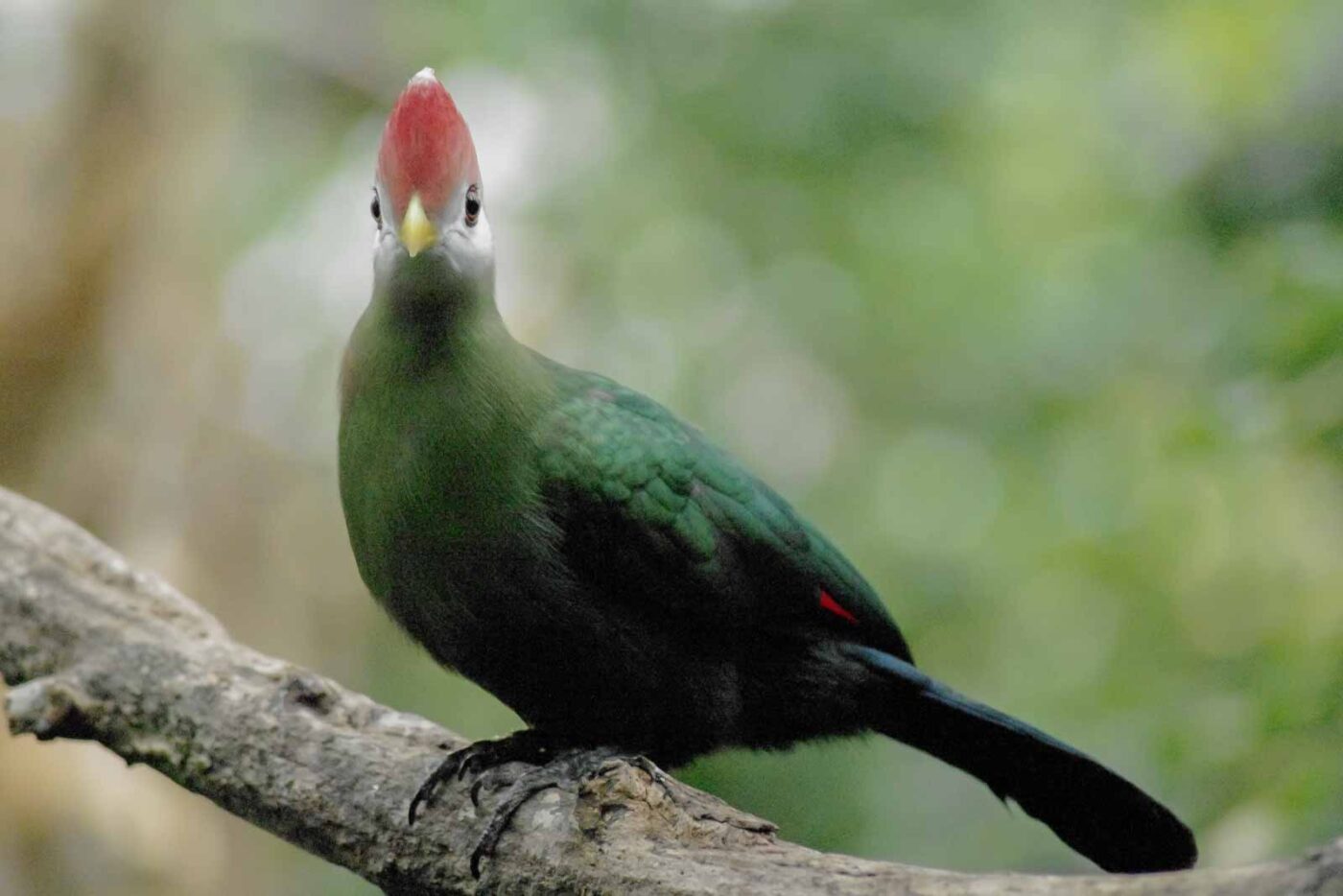 2016-03-10 - Allwetterzoo Münster