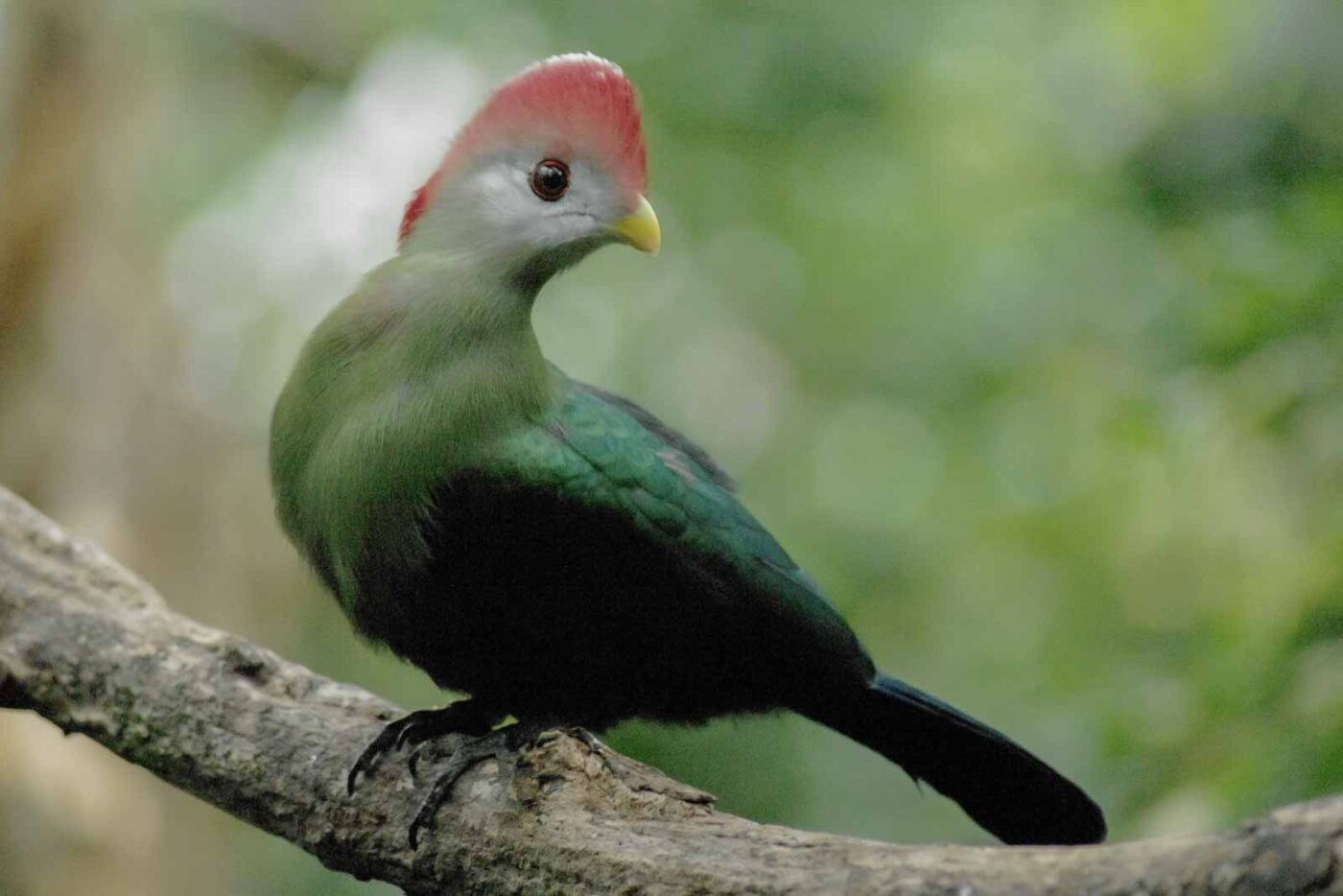 2016-03-10 - Allwetterzoo Münster