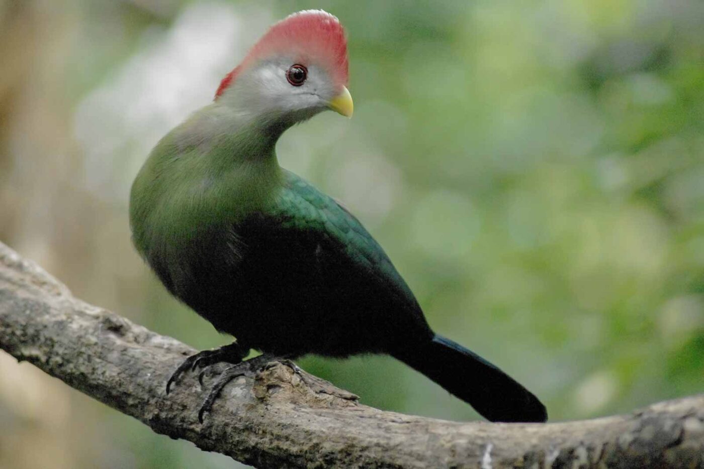2016-03-10 - Allwetterzoo Münster