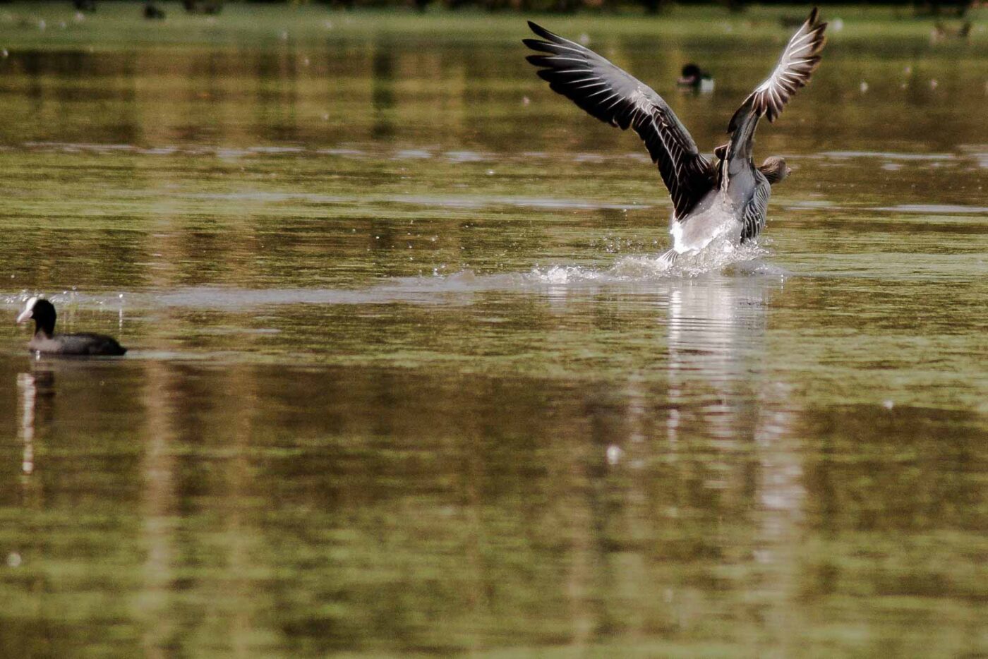 2016-04-02 - Burg Vischering -