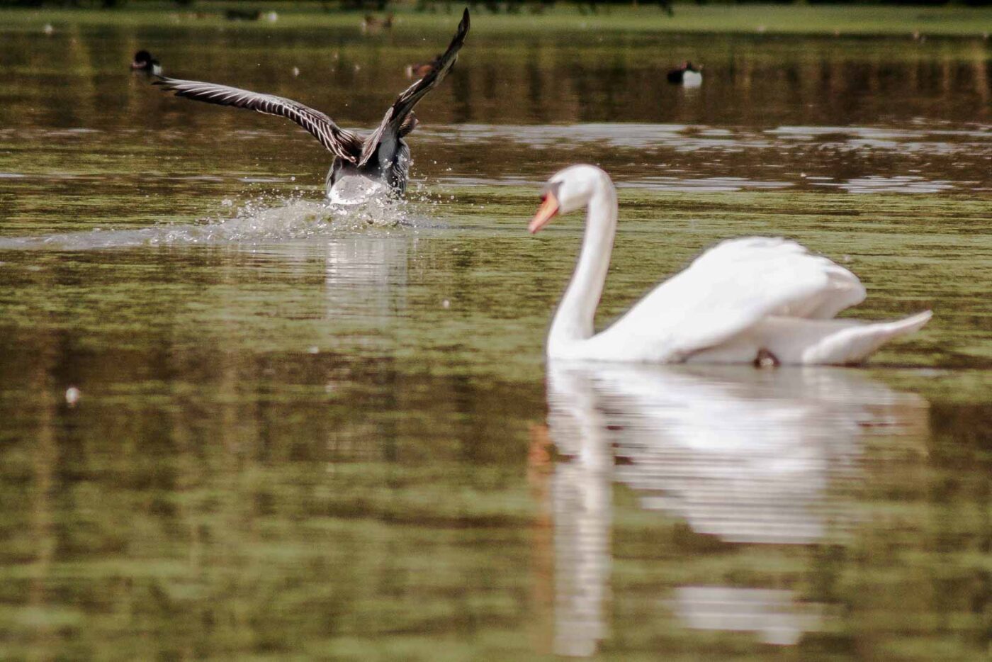 2016-04-02 - Burg Vischering -