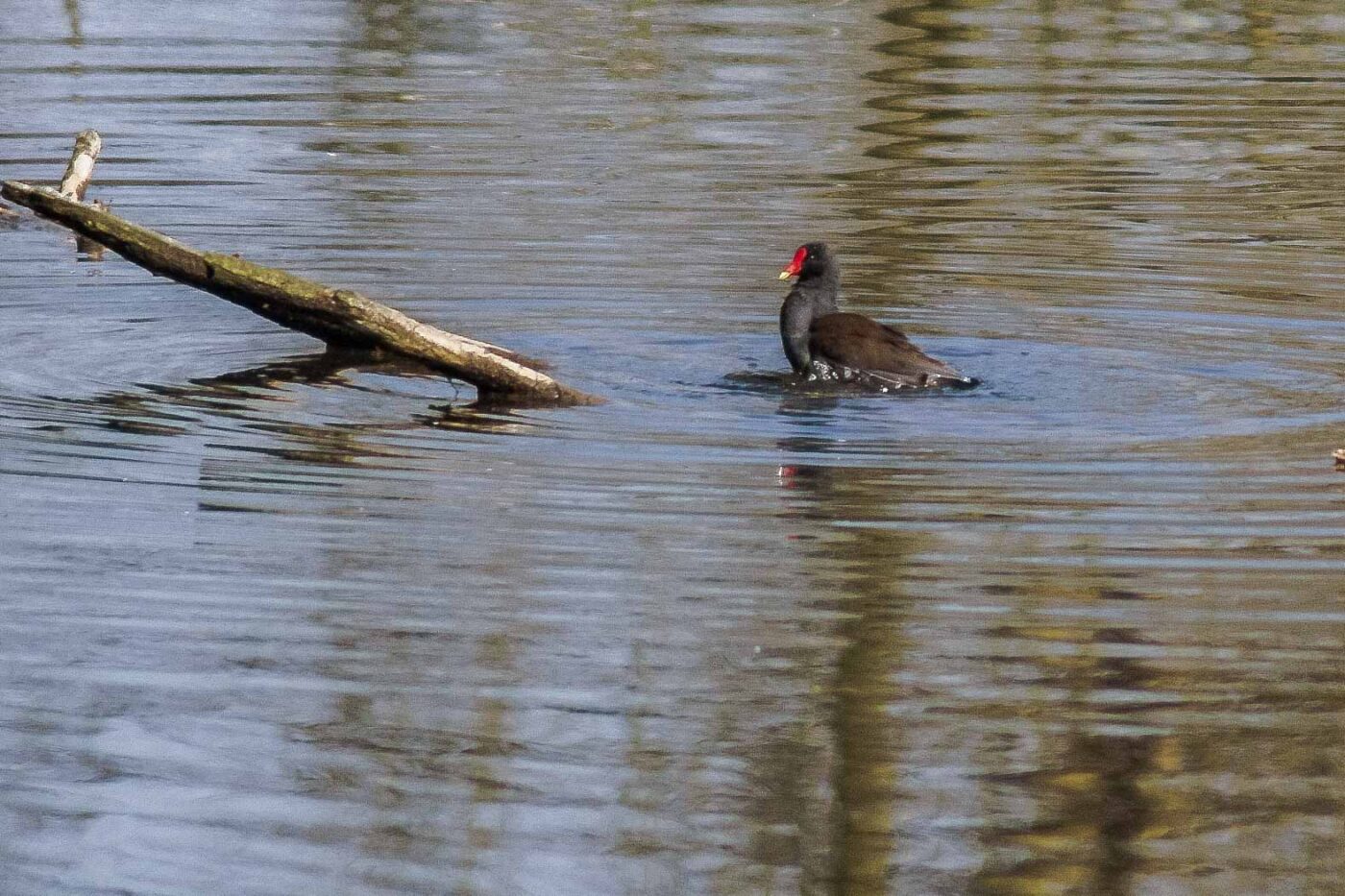 2016-04-02 - Burg Vischering -