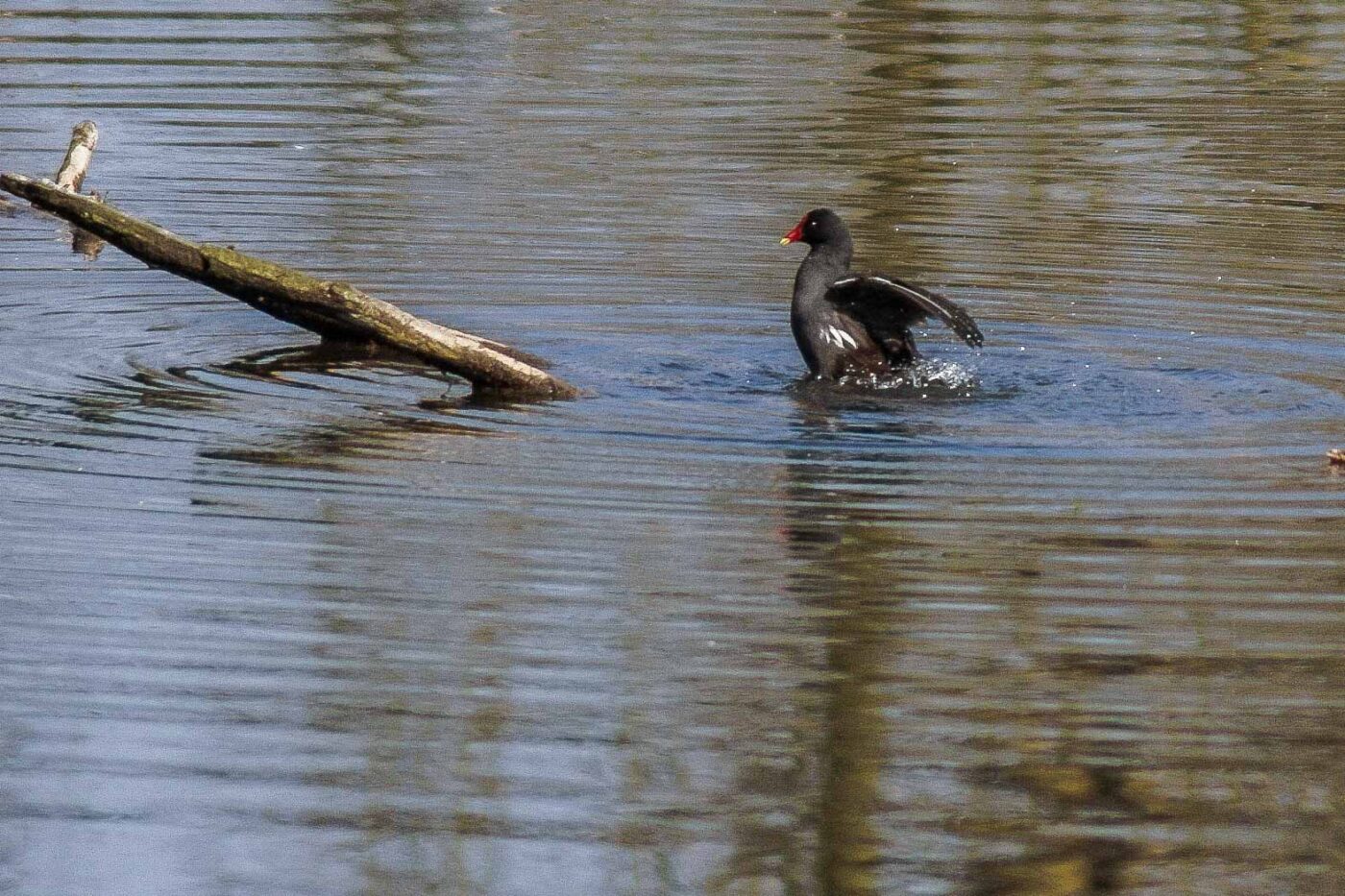 2016-04-02 - Burg Vischering -