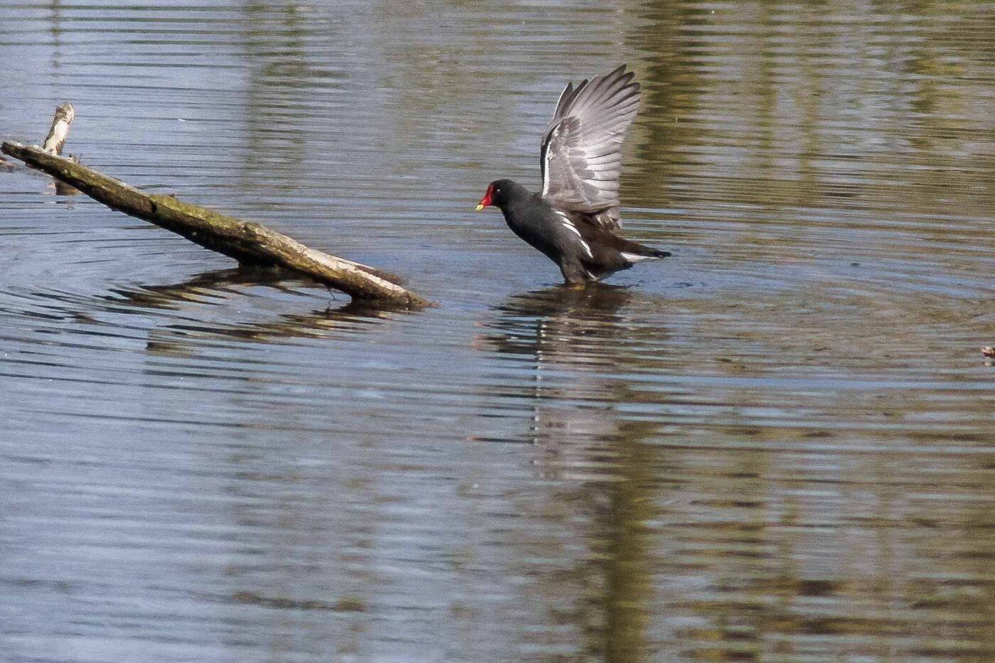 2016-04-02 - Burg Vischering -