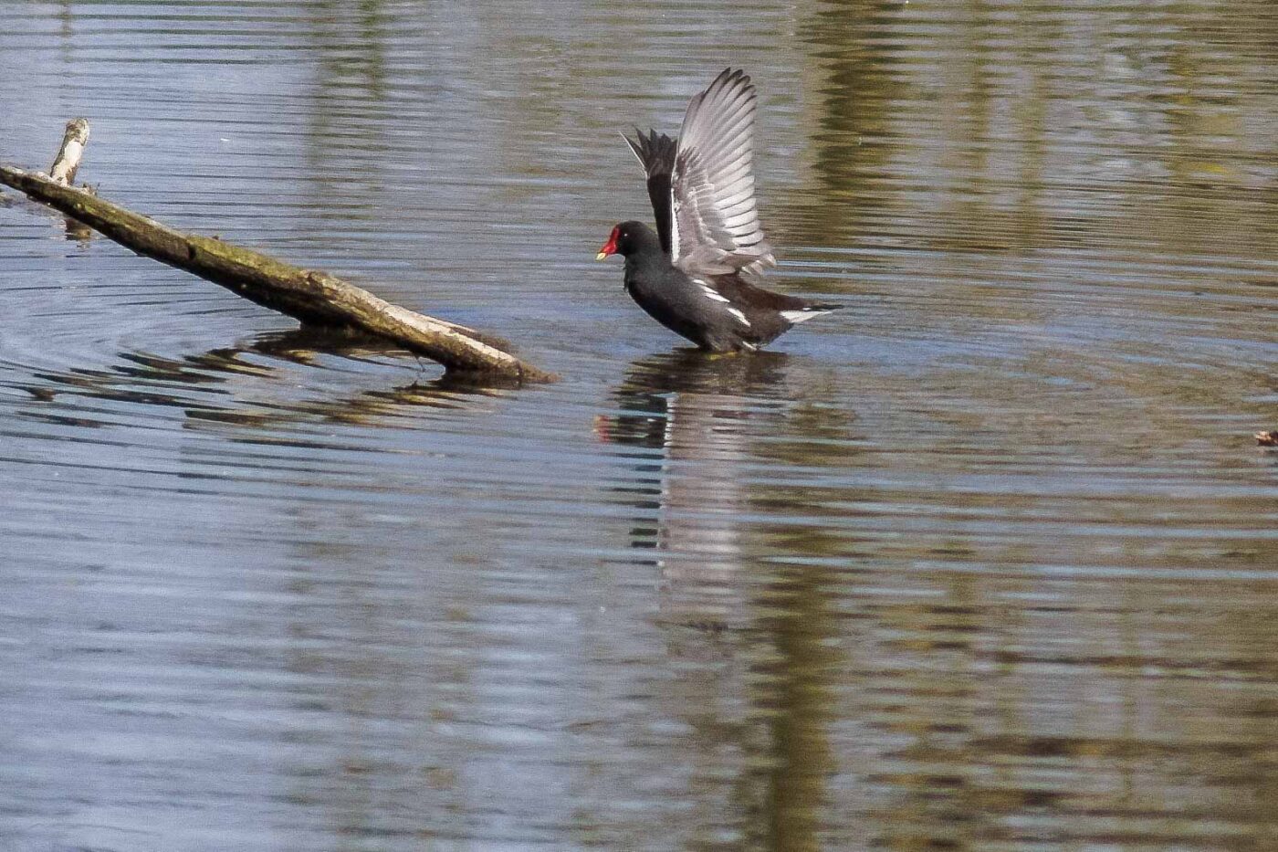 2016-04-02 - Burg Vischering -