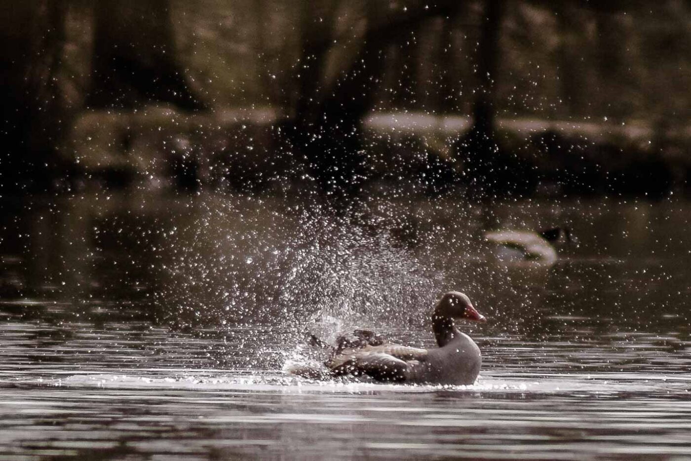 2016-04-02 - Burg Vischering -