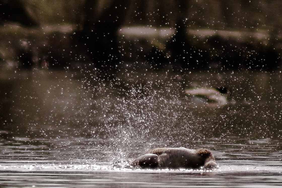 2016-04-02 - Burg Vischering -