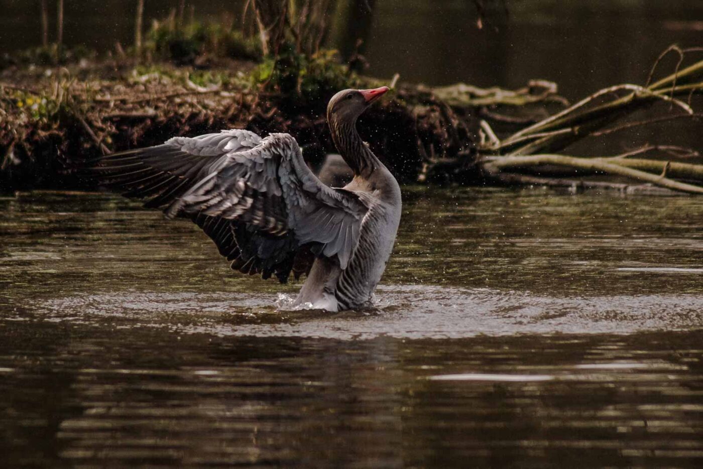 2016-04-02 - Burg Vischering -