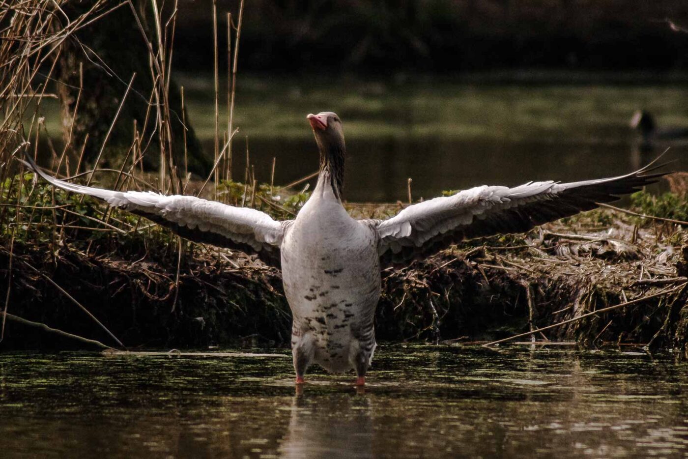 2016-04-02 - Burg Vischering -