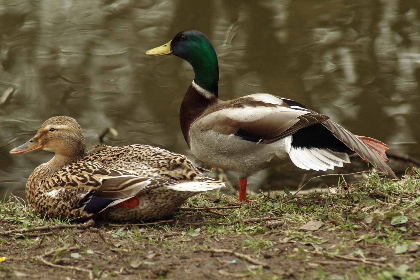 2016-04-02 - Burg Vischering -