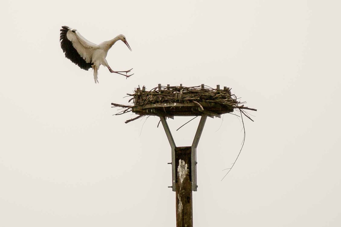 2016-04-02 - Burg Vischering -