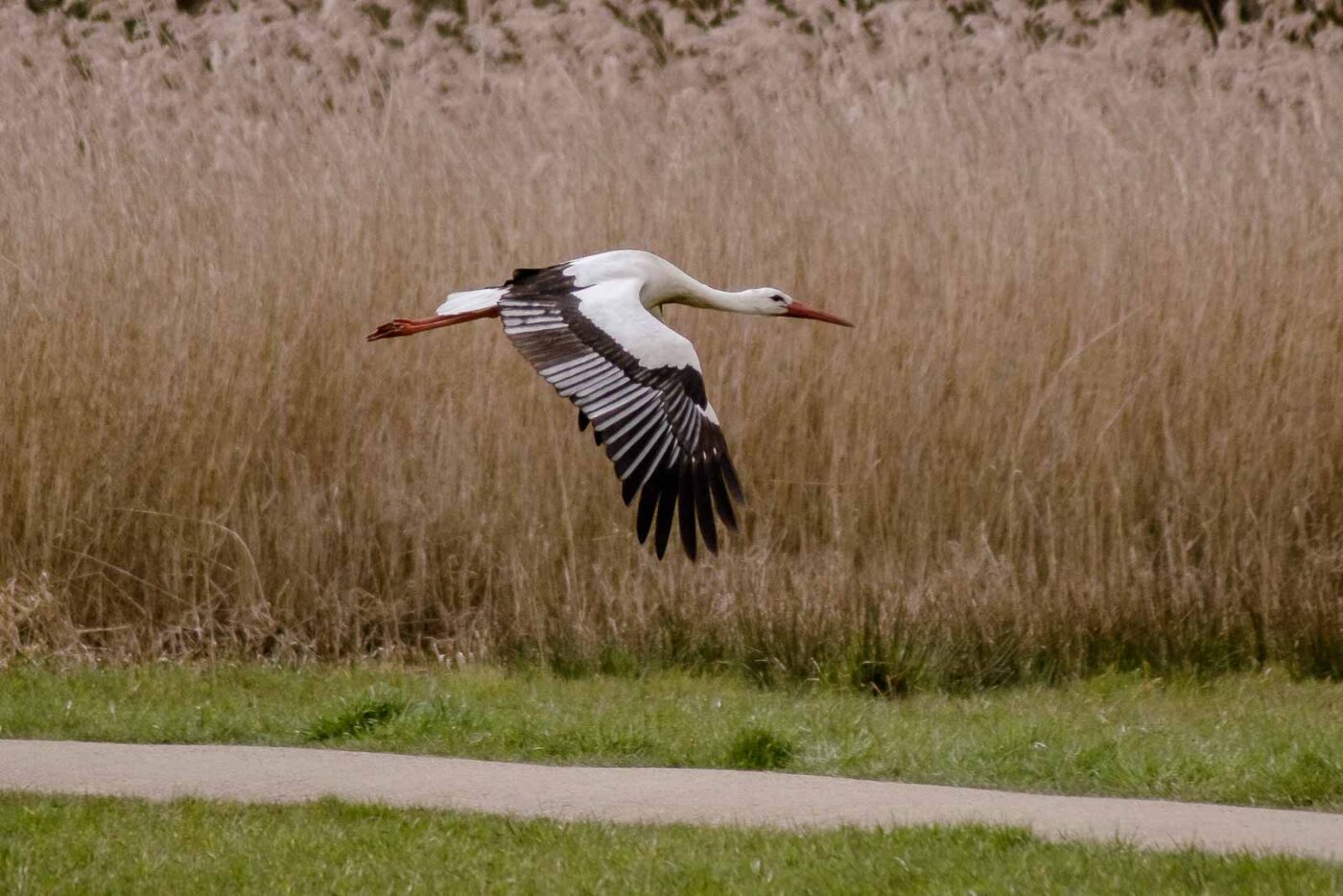 2016-04-02 - Burg Vischering -