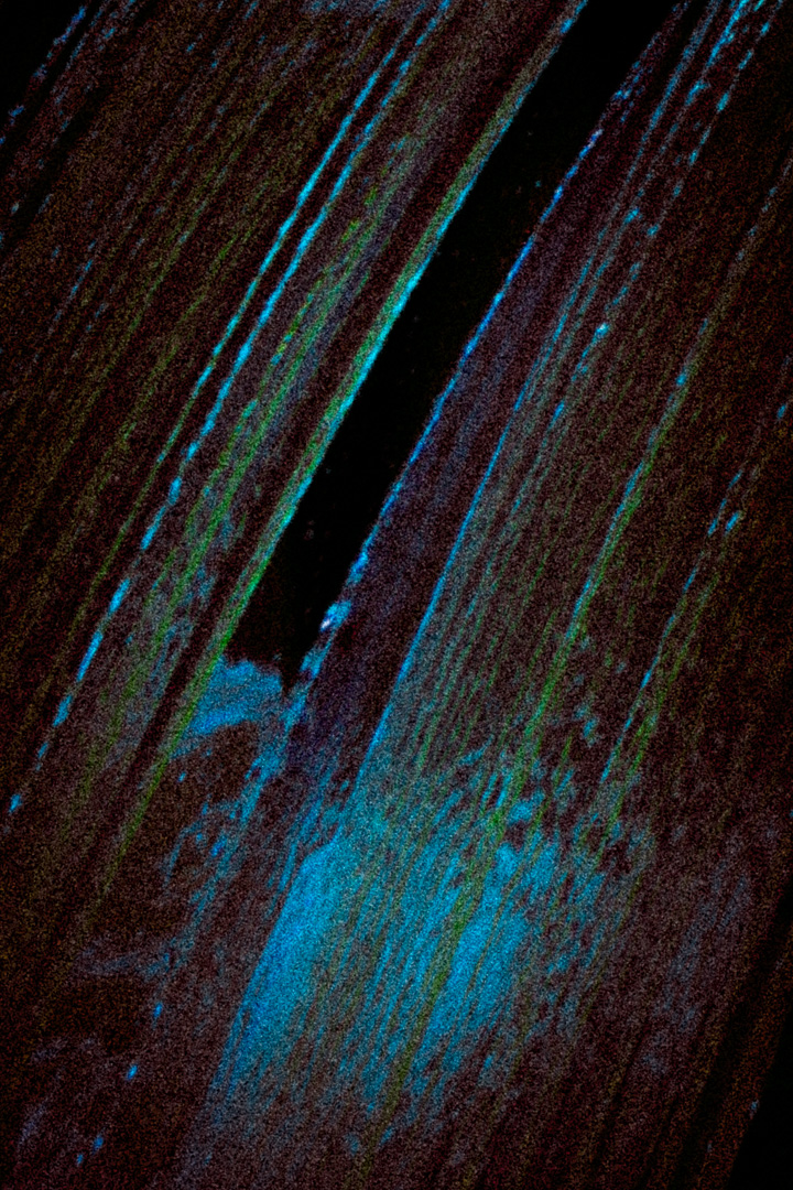 2016-04-02 - Burg Vischering -