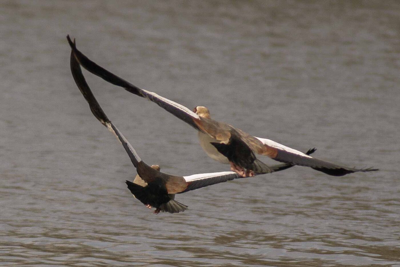 2016-04-03 - Uemminger See Bochum -