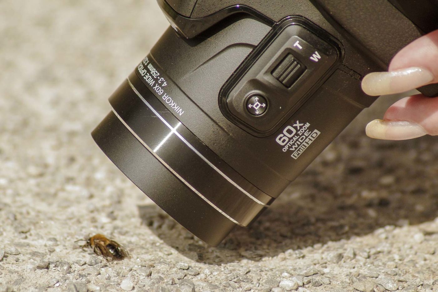 2016-04-03 - Uemminger See Bochum -