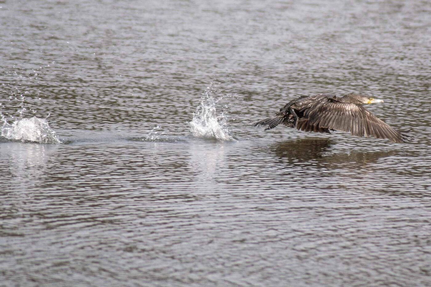 2016-04-03 - Uemminger See Bochum -