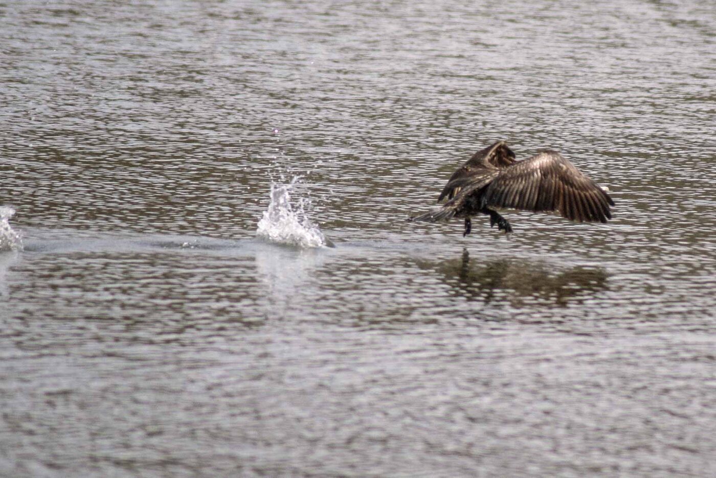 2016-04-03 - Uemminger See Bochum -