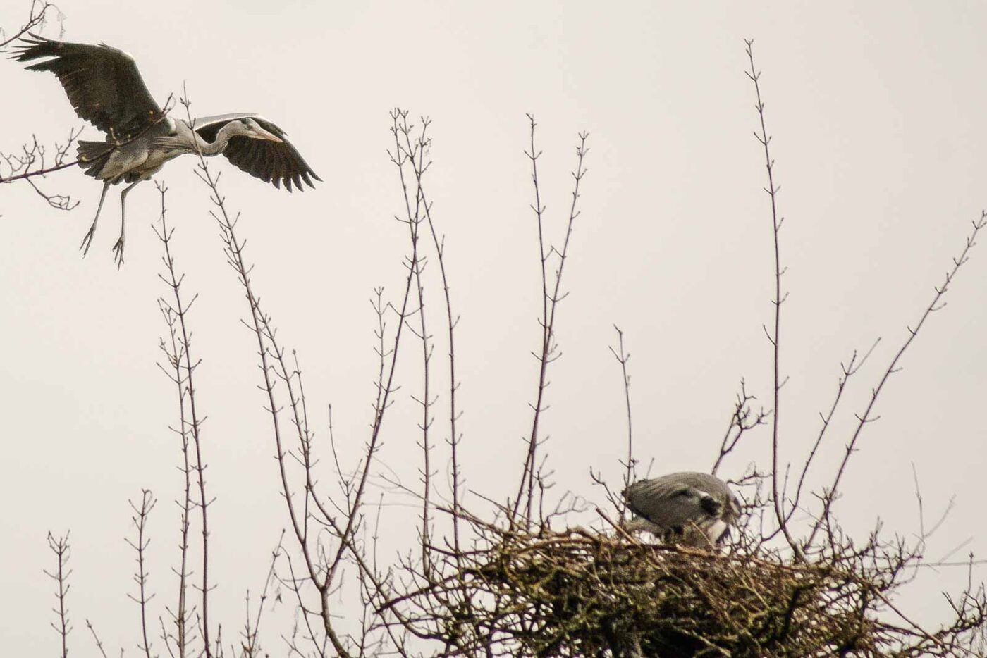 2016-04-03 - Uemminger See Bochum -