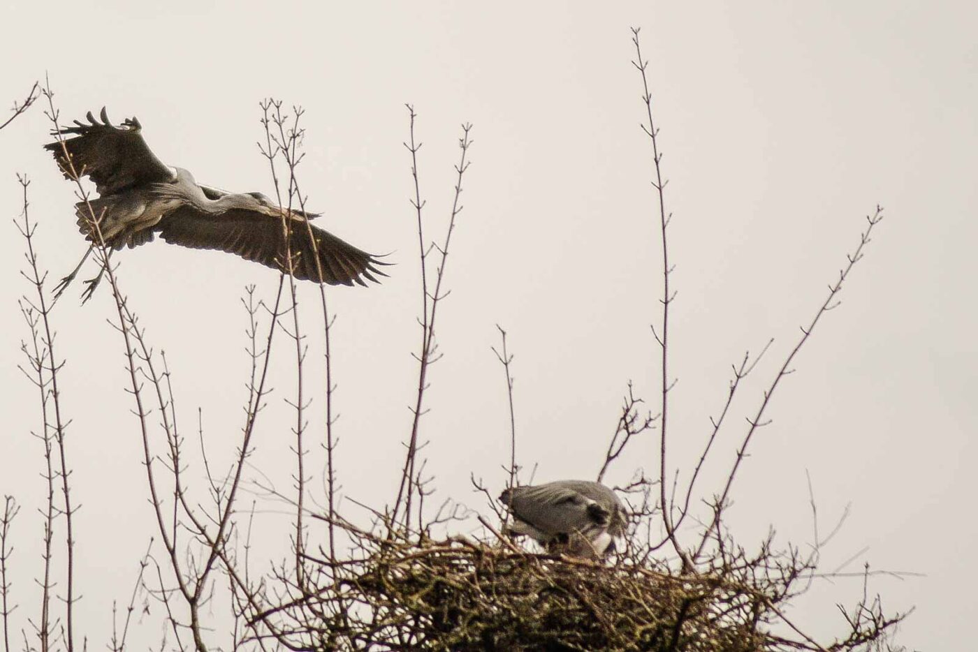 2016-04-03 - Uemminger See Bochum -