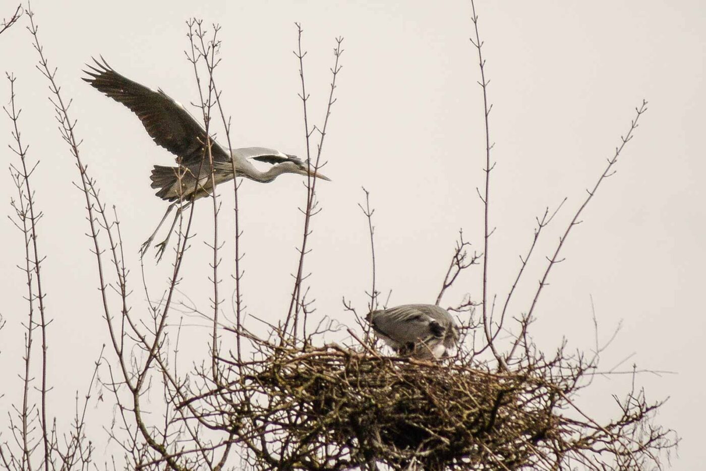 2016-04-03 - Uemminger See Bochum -