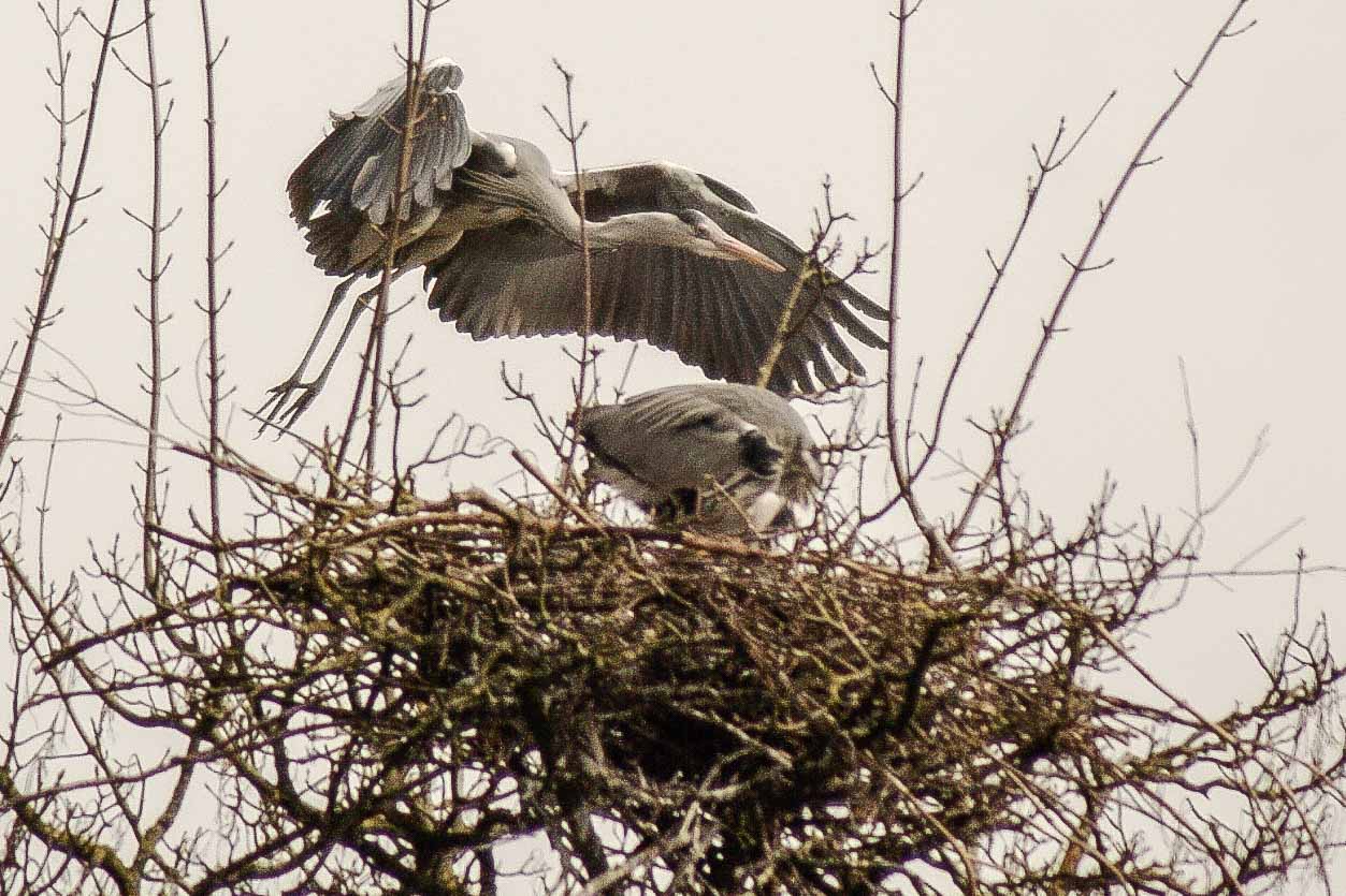 2016-04-03 - Uemminger See Bochum -