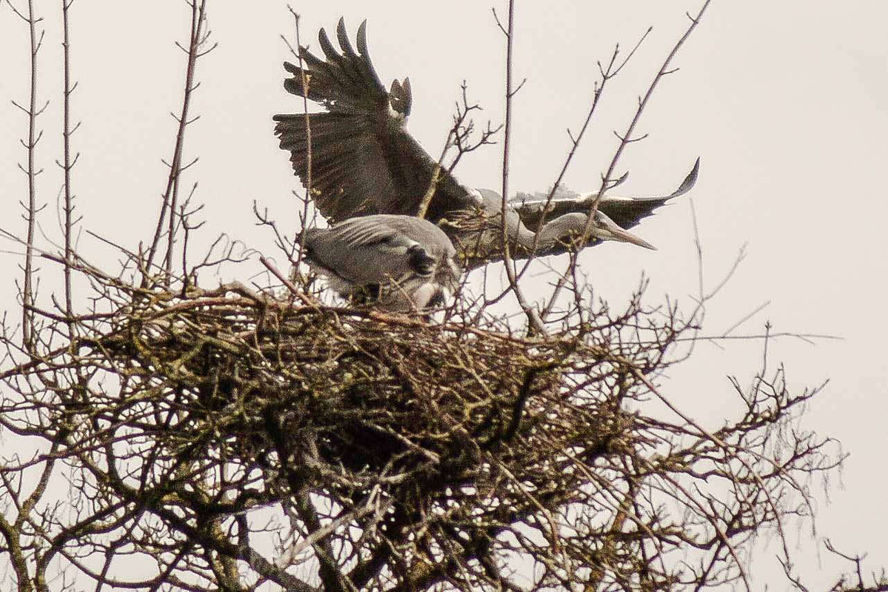 2016-04-03 - Uemminger See Bochum -