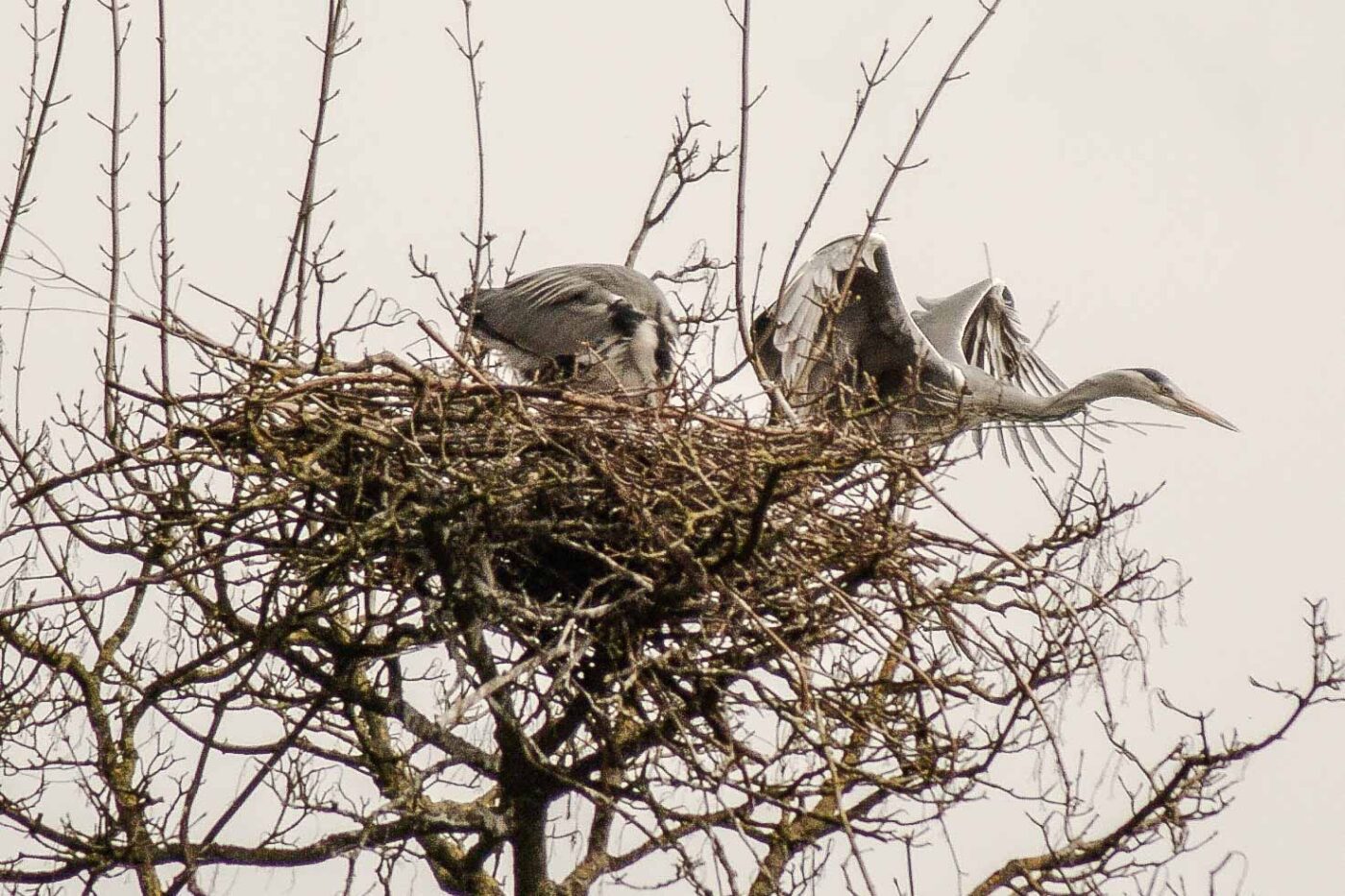 2016-04-03 - Uemminger See Bochum -