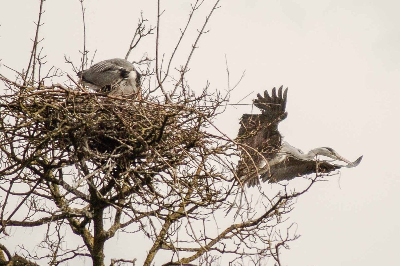 2016-04-03 - Uemminger See Bochum -