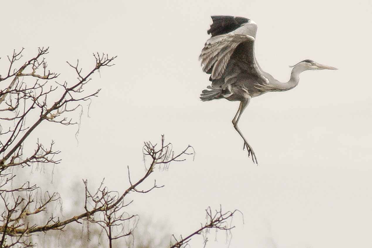2016-04-03 - Uemminger See Bochum -