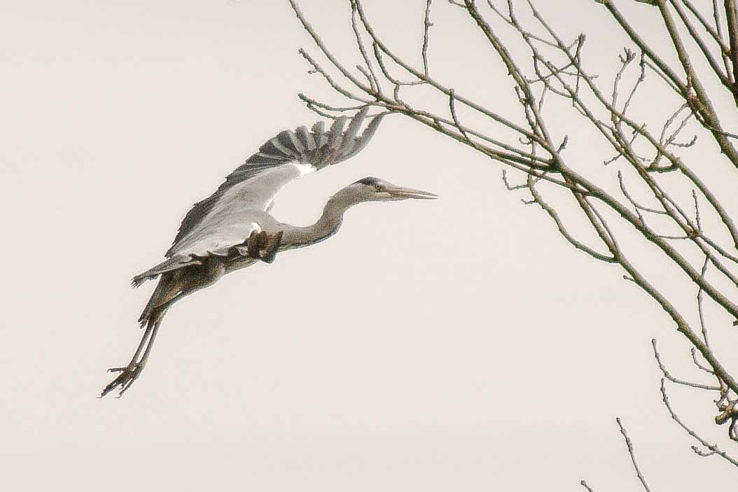 2016-04-03 - Uemminger See Bochum -