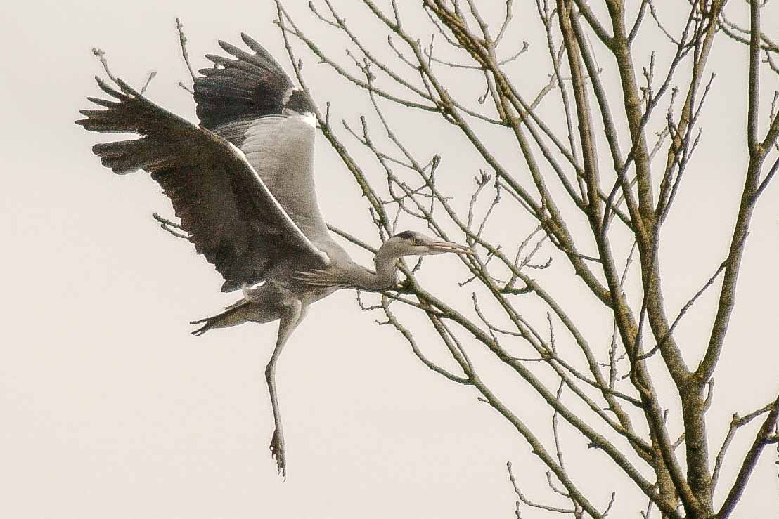 2016-04-03 - Uemminger See Bochum -